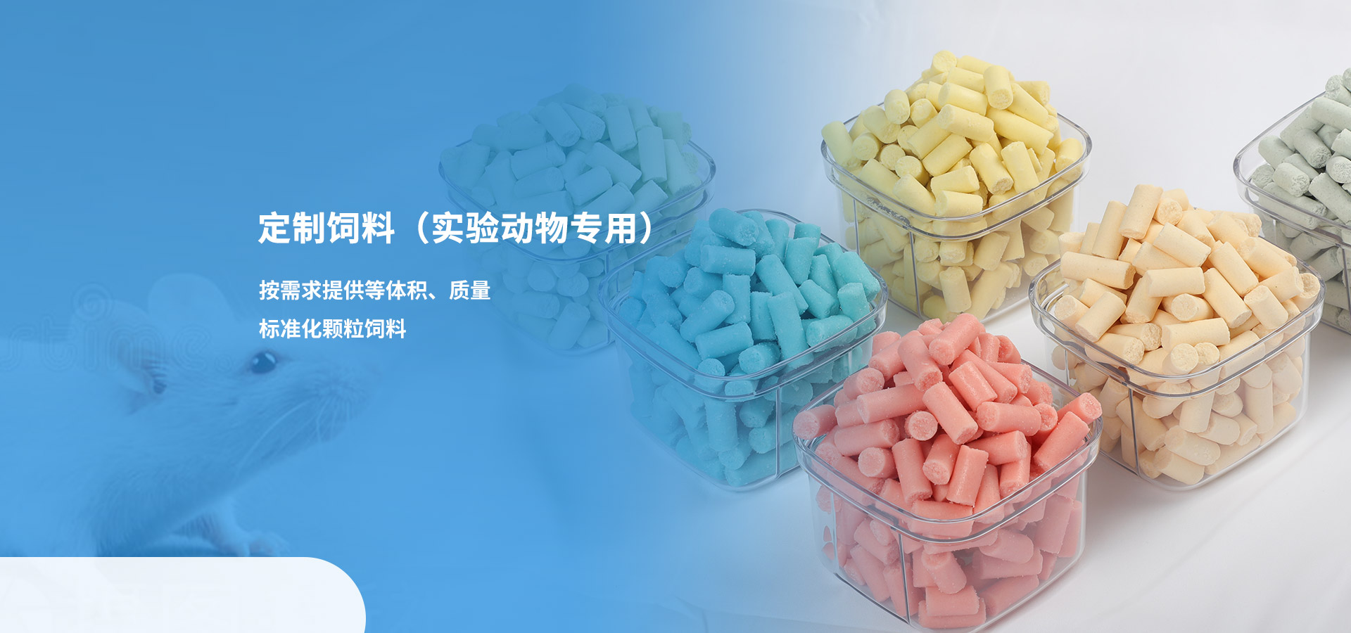 J9九游会