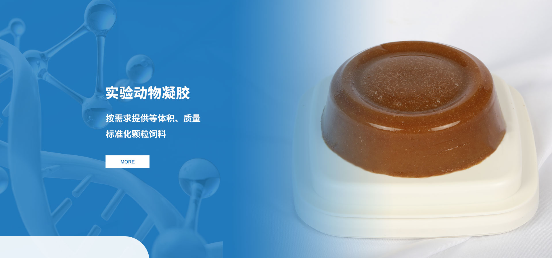 J9九游会